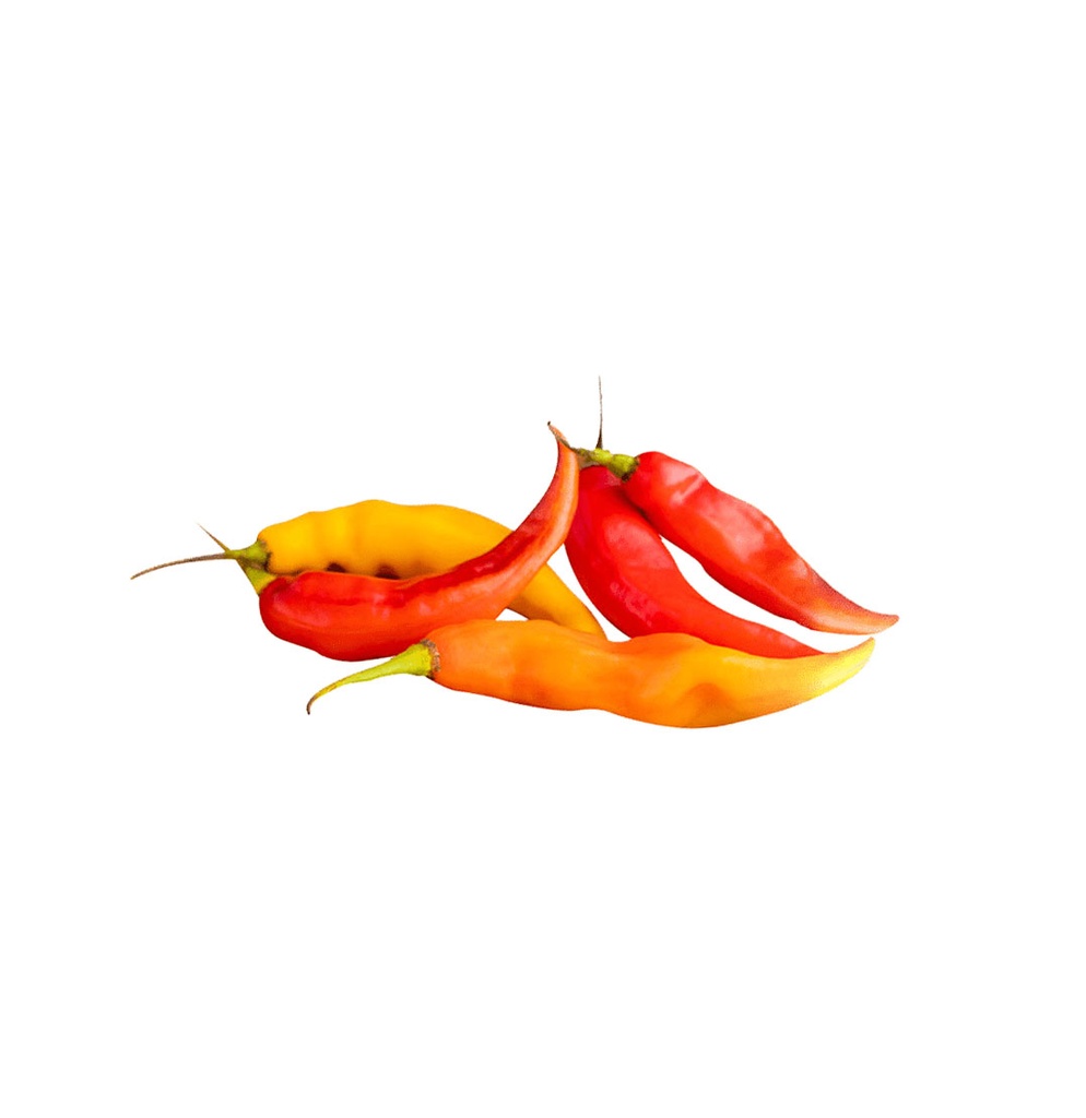 AJI