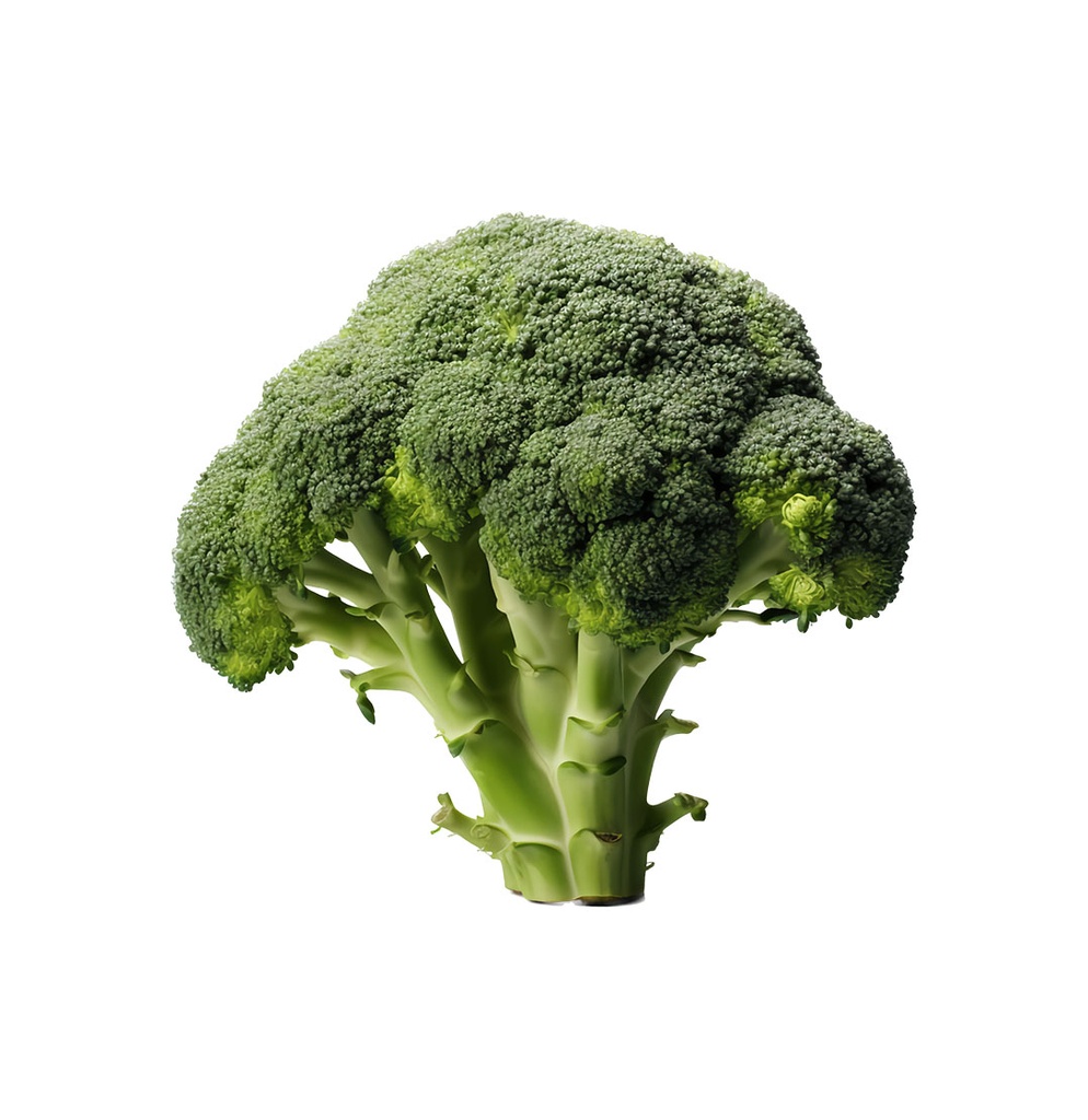 BROCOLI