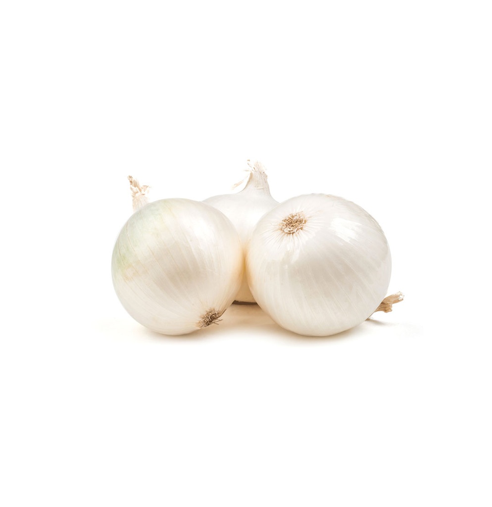 Cebolla blanca