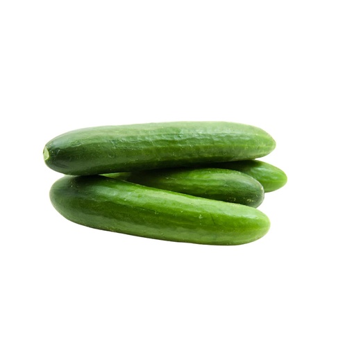 [10556] Pepino